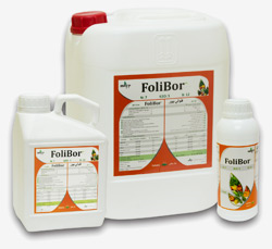 FoliBor