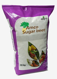 Amco Sugar Beet