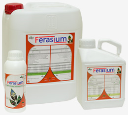 Le Ferasium