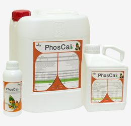 PhosCal