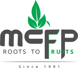 Effect of Multi N on the Cabbage crop. logo-mcfp